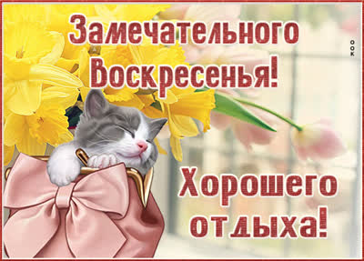 Picture милая картинка замечательного воскресенья
