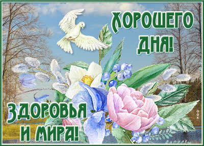 Postcard милая картинка здоровья и мира
