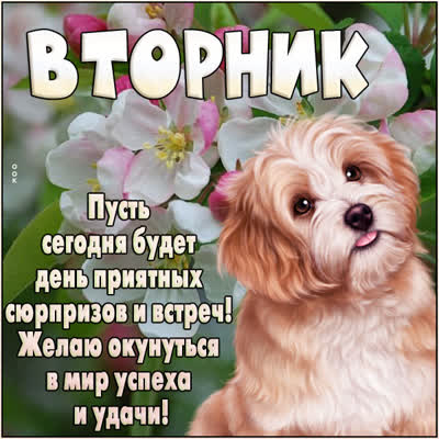 Postcard милая картинка желаю окунуться в мир успеха