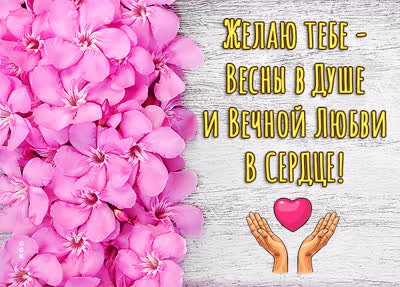 Postcard милая картинка желаю тебе весны в душе