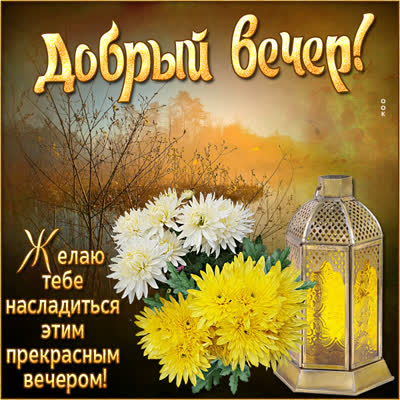 Postcard милая октрытка добрый вечер