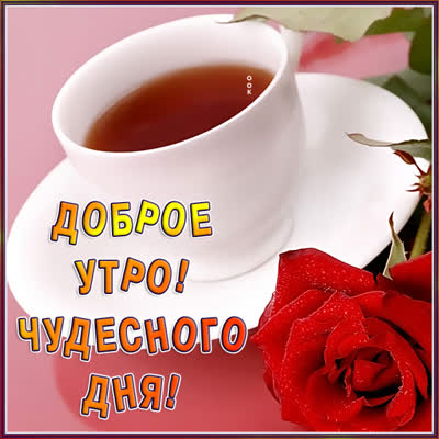 Picture милая открытка чудесного дня
