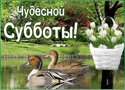 Picture милая открытка чудесной субботы