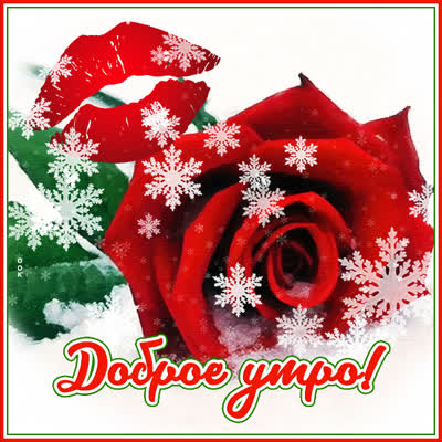 Postcard милая открытка доброе утро