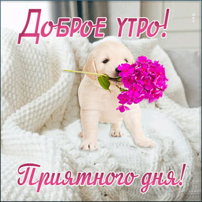 Postcard милая открытка доброе утро