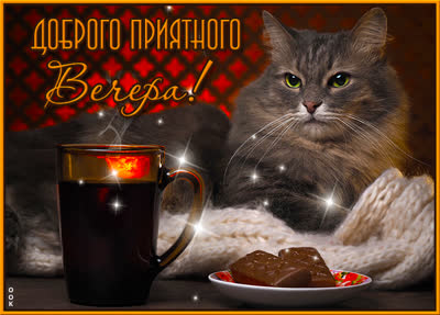 Postcard милая открытка доброго приятного вечра