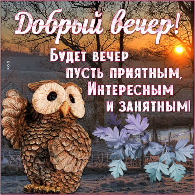 Postcard милая открытка добрый вечер друзьям