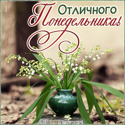 Postcard милая открытка отличного понедельника