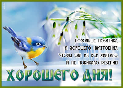 Postcard милая открытка побольше позитива