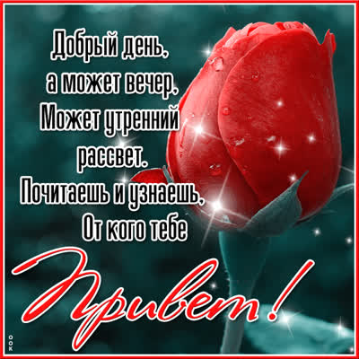 Picture милая открытка почитаешь и узнаешь от кого тебе привет