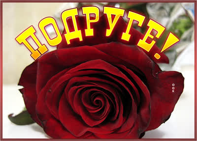 Postcard милая открытка подруге с розой