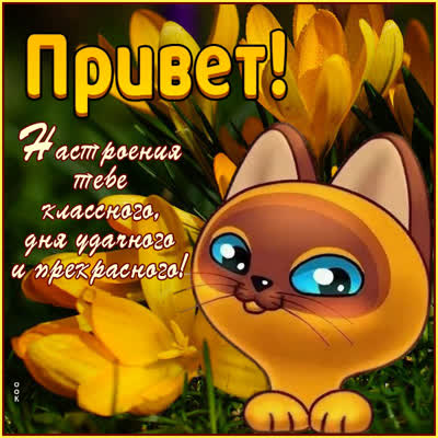Postcard милая открытка привет
