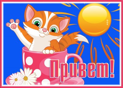 Открытка милая открытка привет с котёнком