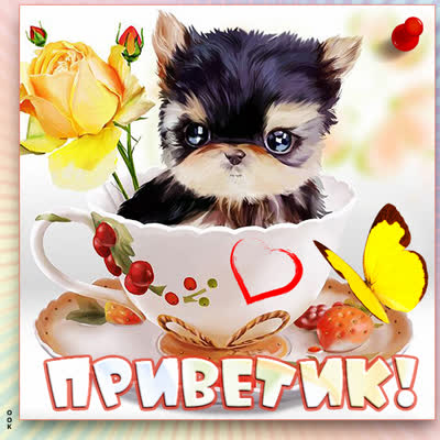 Picture милая открытка приветик