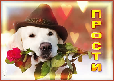 Picture милая  открытка прости