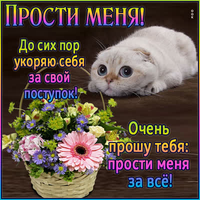 Picture милая открытка прости меня