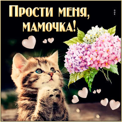 Picture милая открытка прости меня мамочка