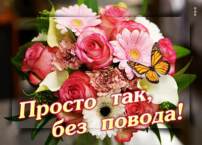Postcard милая открытка просто так без повода