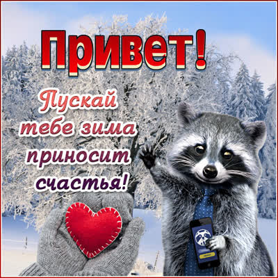 Postcard милая открытка пускай зима принесет тебе счастья