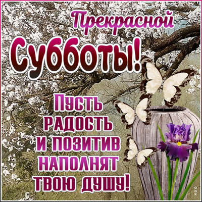 Picture милая открытка пусть радость и позитив  наполнят твою душу