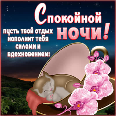 Picture милая открытка пусть твой отдых наполнит тебя силами и вдохновением