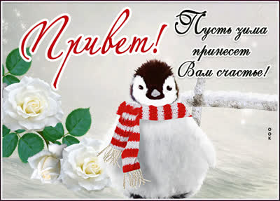 Picture милая открытка пусть зима принесет счастье