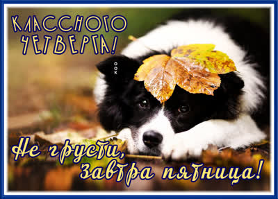 Picture милая открытка с четвергом