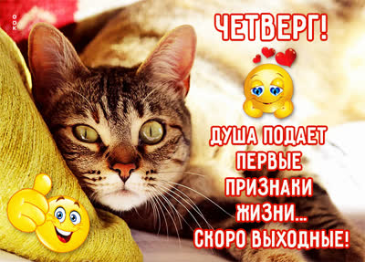 Postcard милая открытка с четвергом