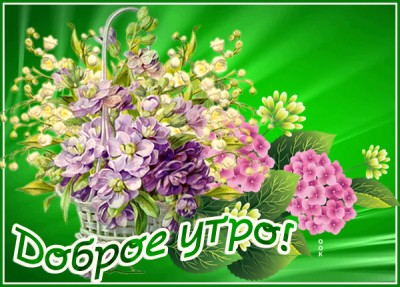 Открытка милая открытка с добрым утром с цветами