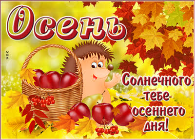 Postcard милая открытка с осенью