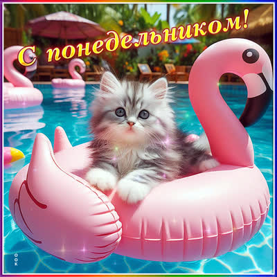 Postcard милая открытка с понедельником