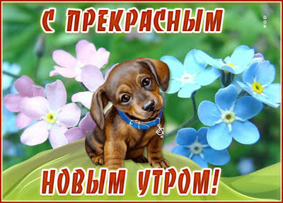 Postcard милая открытка с прекрасным новым утром