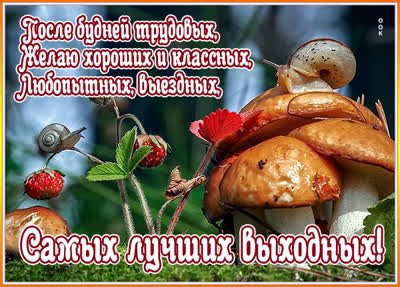 Postcard милая открытка самых лучших выходных