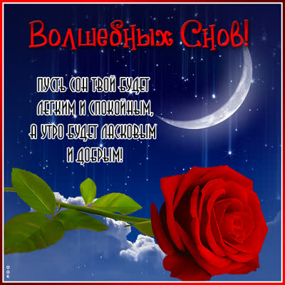 Postcard милая открытка  волшебных снов