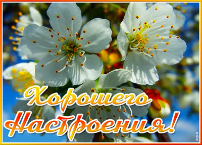 Postcard милая открытка хорошего настроения