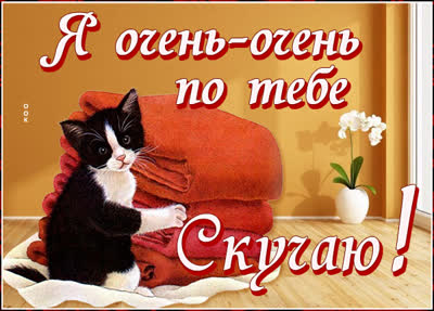 Picture милая открытка я очень по тебе скучаю