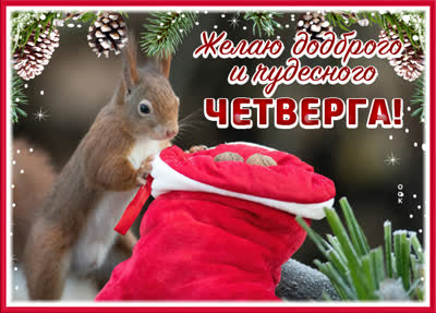 Postcard милая открытка желаю доброго и чудесного четверга