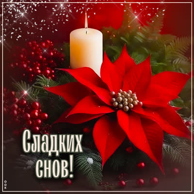 Picture милая праздничная открытка сладких снов