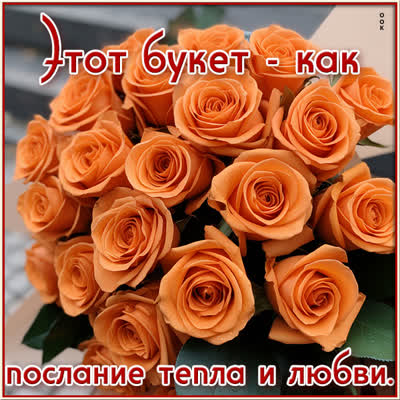 Picture миловидная картинка послание тепла и любви