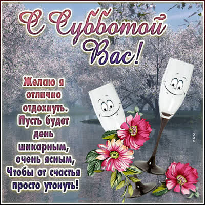 Postcard миловидная открытка с субботой вас