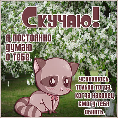 Picture миловидная открытка скучаю