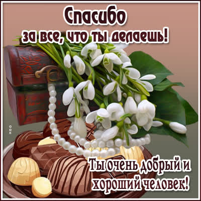 Picture миловидная открытка спасибо за все, что ты делаешь