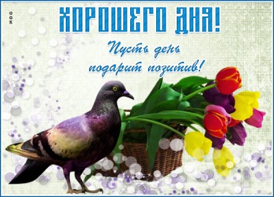 Открытка необычная картинка хорошего дня
