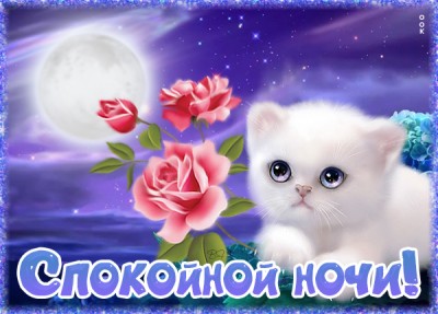 Картинка необычная картинка спокойной ночи с котиком