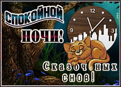 Открытка необычная картинка спокойной ночи с котиком