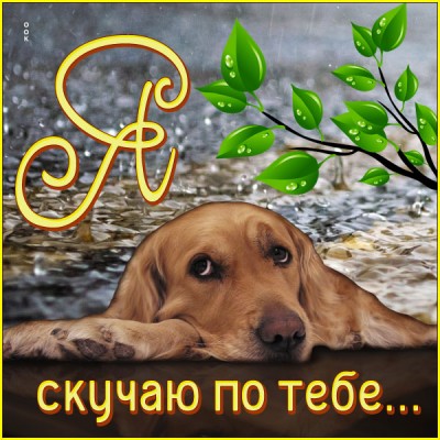Картинка необычная открытка скучаю