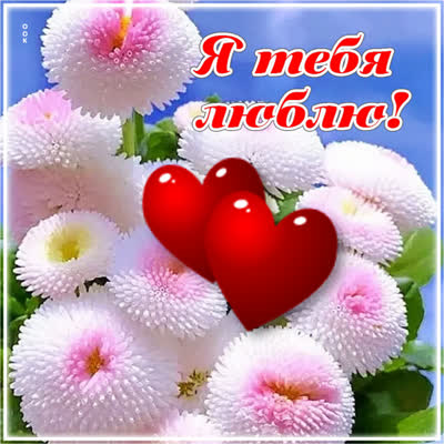 Postcard неповторимая открытка я тебя люблю