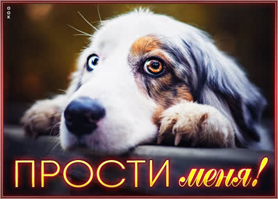 Picture неповторимая прости меня