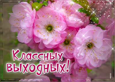Picture незабываемая картинка классных выходных