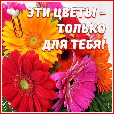 Postcard незабываемая открытка  эти цветы - только для тебя